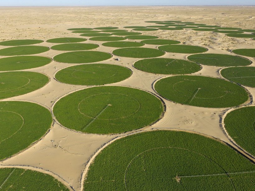 Center Pivot Irrigation el oued 2