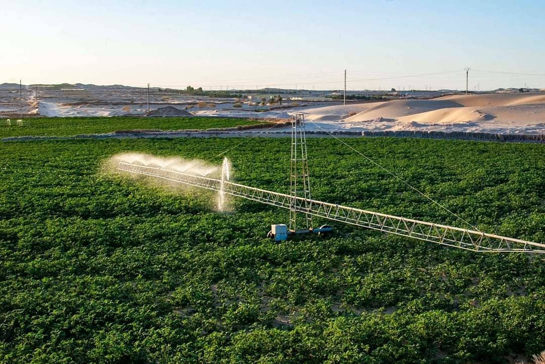 Center Pivot Irrigation el oued